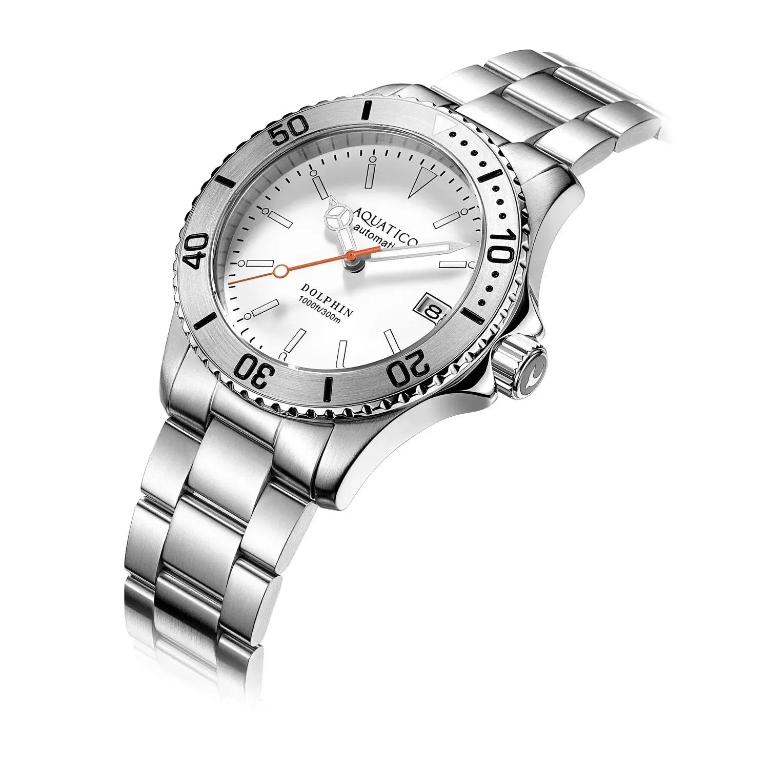 Aquatico Dolphin 38mm Dive Watch White Dial (NH35)
