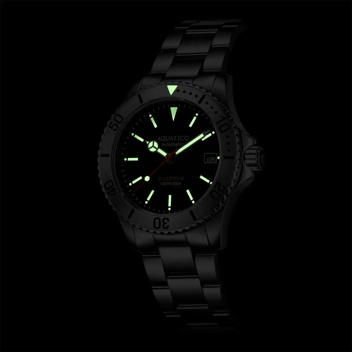 Aquatico Dolphin 38mm Dive Watch White Dial (NH35)