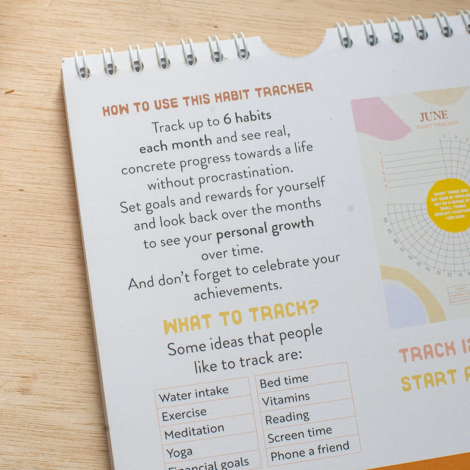 Daily Habit Tracker-12 Month Goal Planner