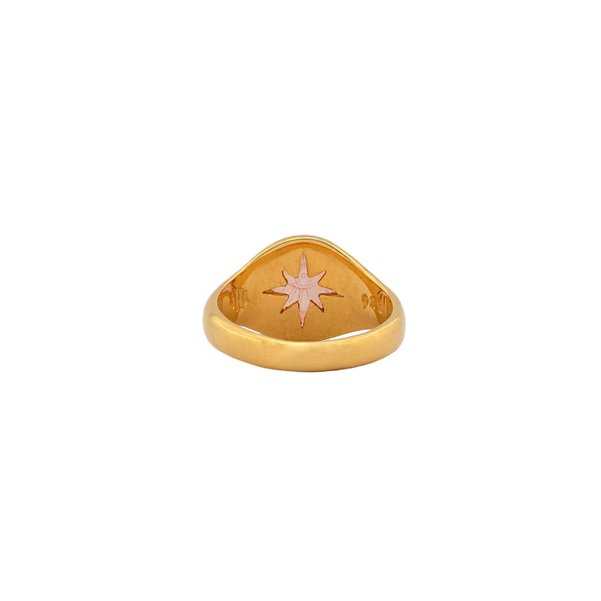 DELPHINE RING GPS