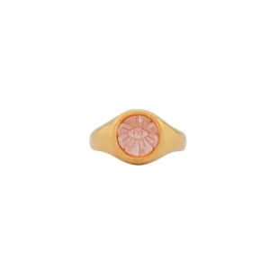 DELPHINE RING GPS
