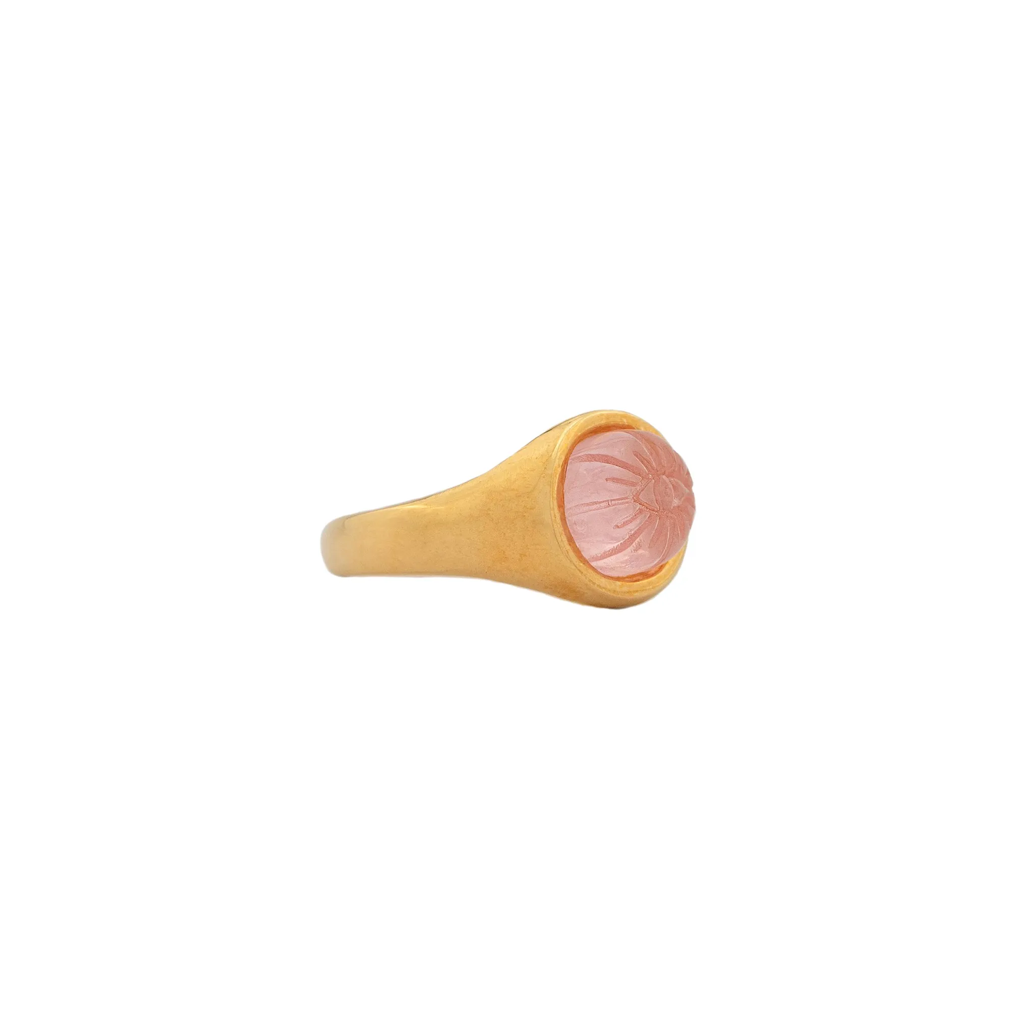 DELPHINE RING GPS