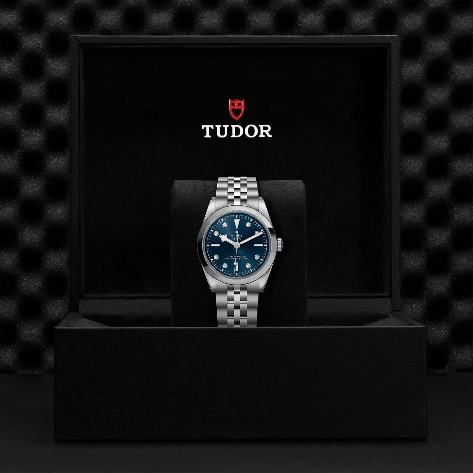 TUDOR Black Bay 31/36/39/41 36Mm Steel Case - M79640-0005