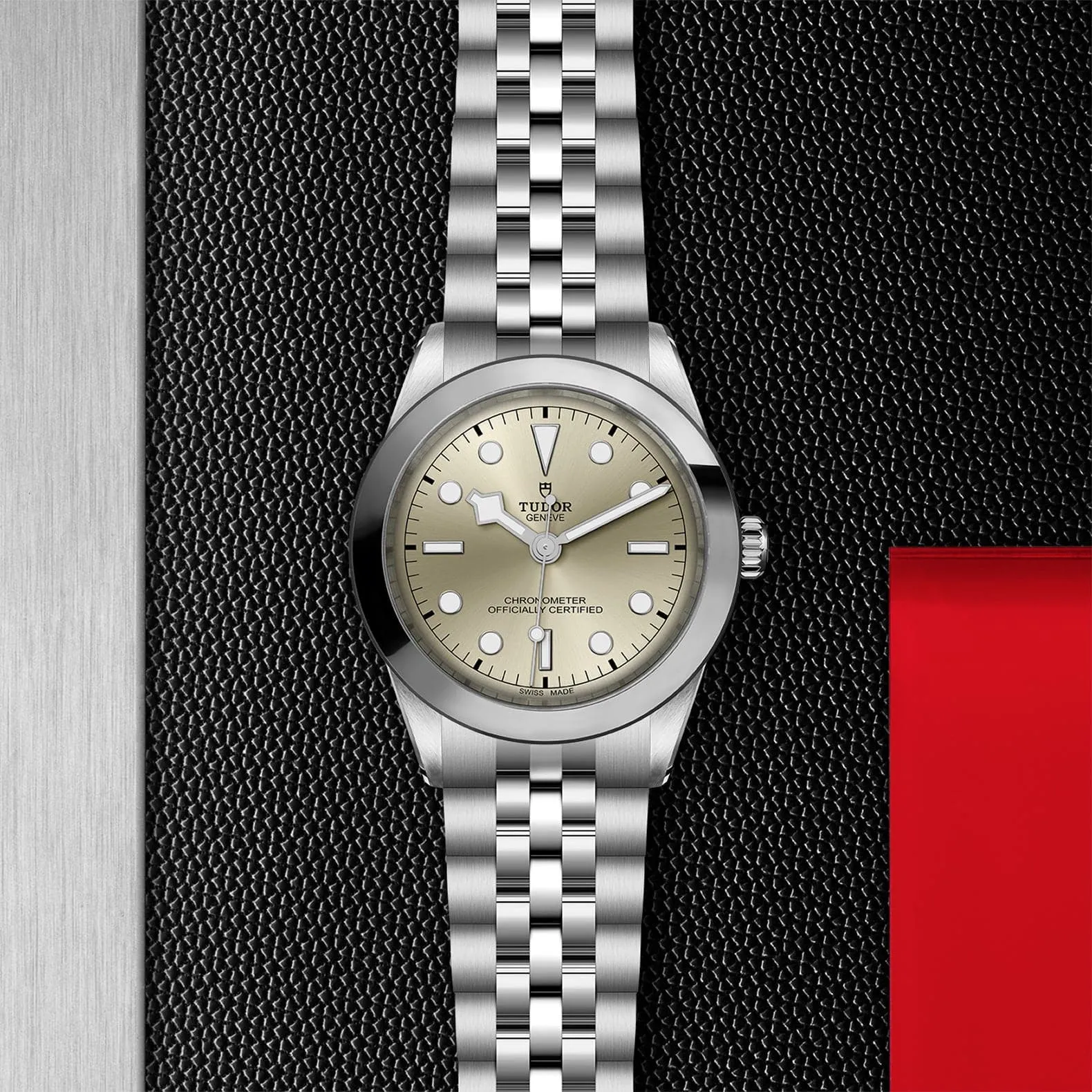 TUDOR Black Bay 31/36/39/41 39Mm Steel Case - M79660-0003