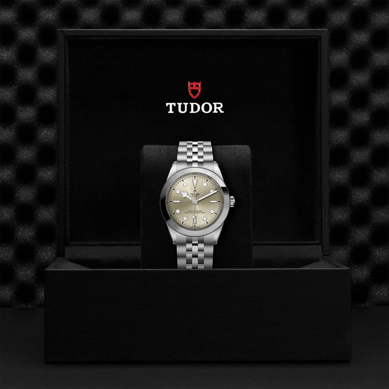 TUDOR Black Bay 31/36/39/41 39Mm Steel Case - M79660-0003
