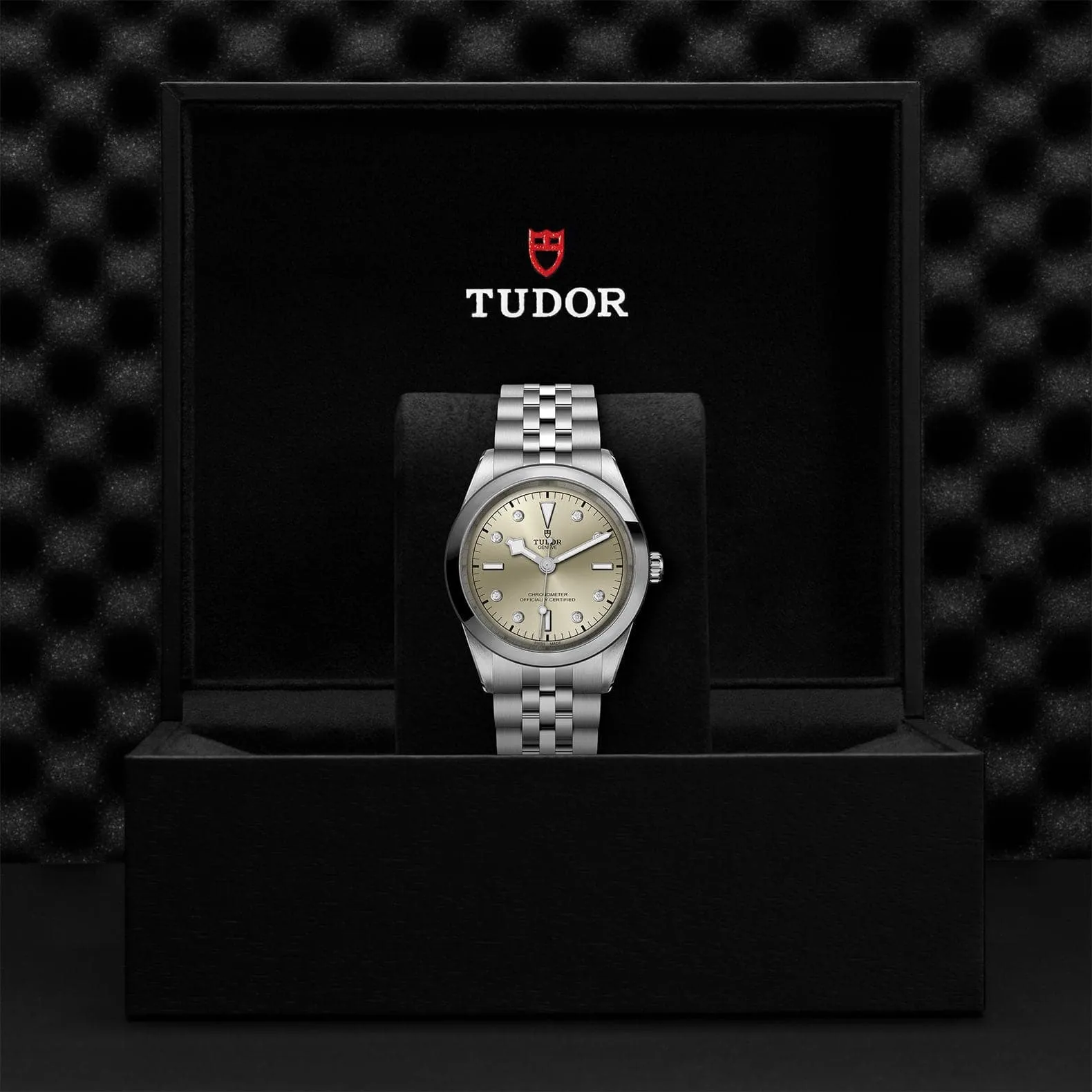 TUDOR Black Bay 31/36/39/41 41Mm Steel Case - M79680-0006