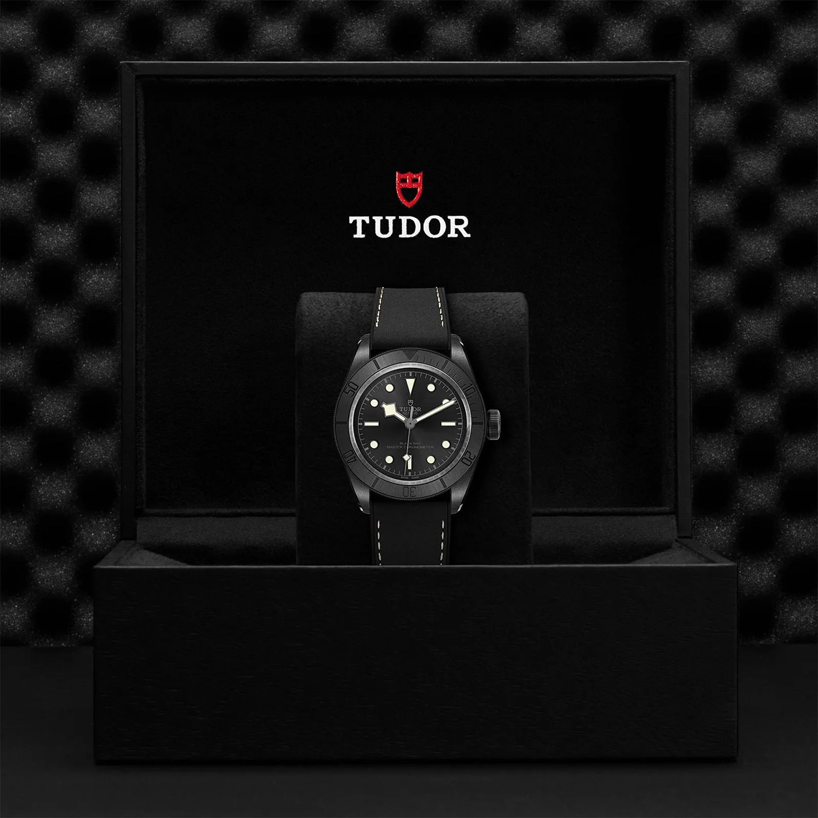 TUDOR Black Bay Ceramic 41mm Watch M79210CNU-0001